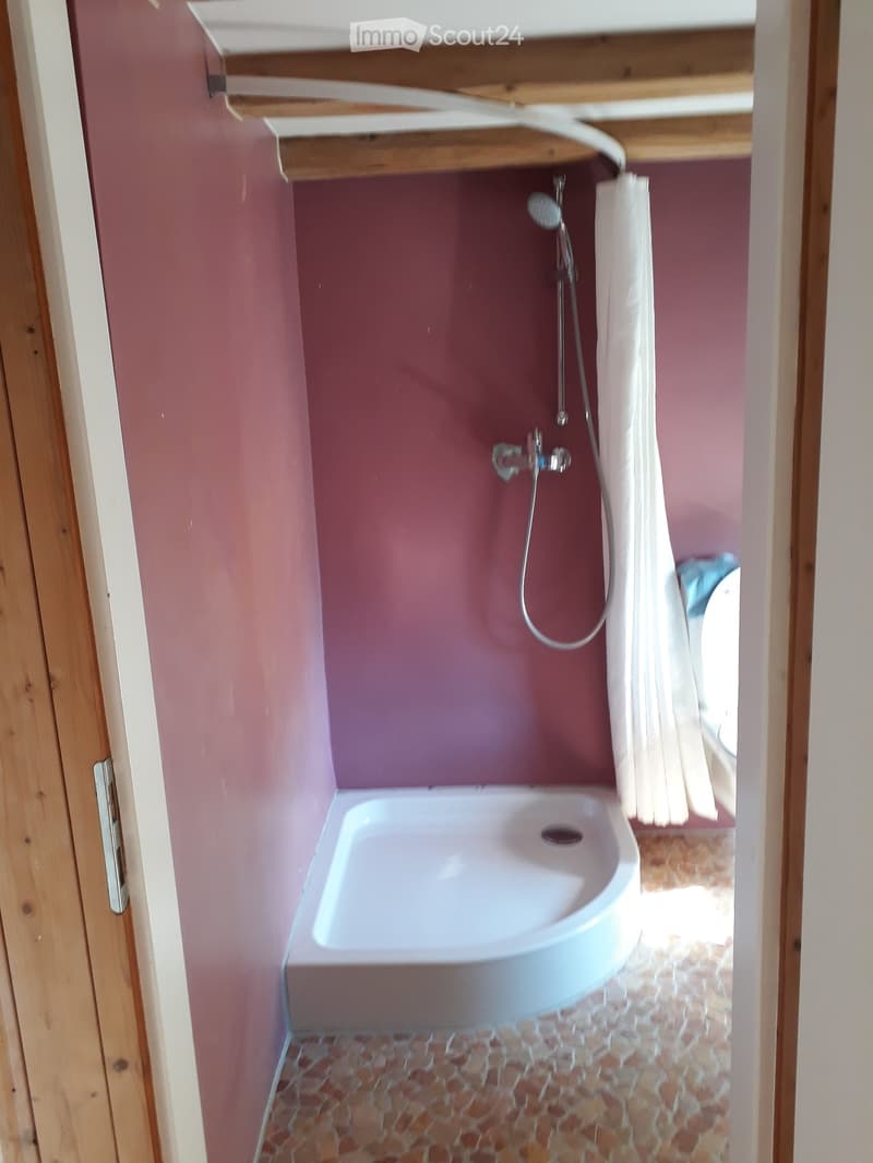Small bathroom with pink walls, a white sink, a shower, and a toilet. The floor is tiled with small, patterned tiles.