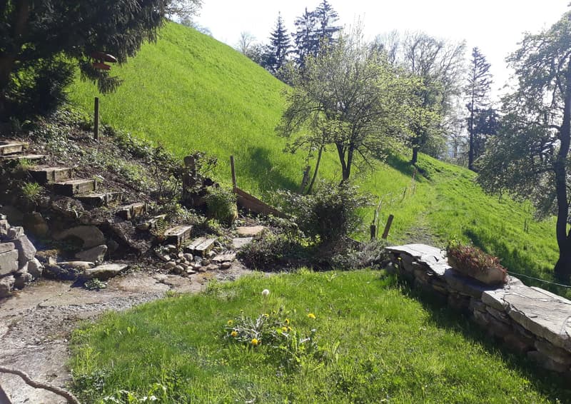 A lush green garden with a stone pathway, small stone walls, and scattered trees and shrubs.