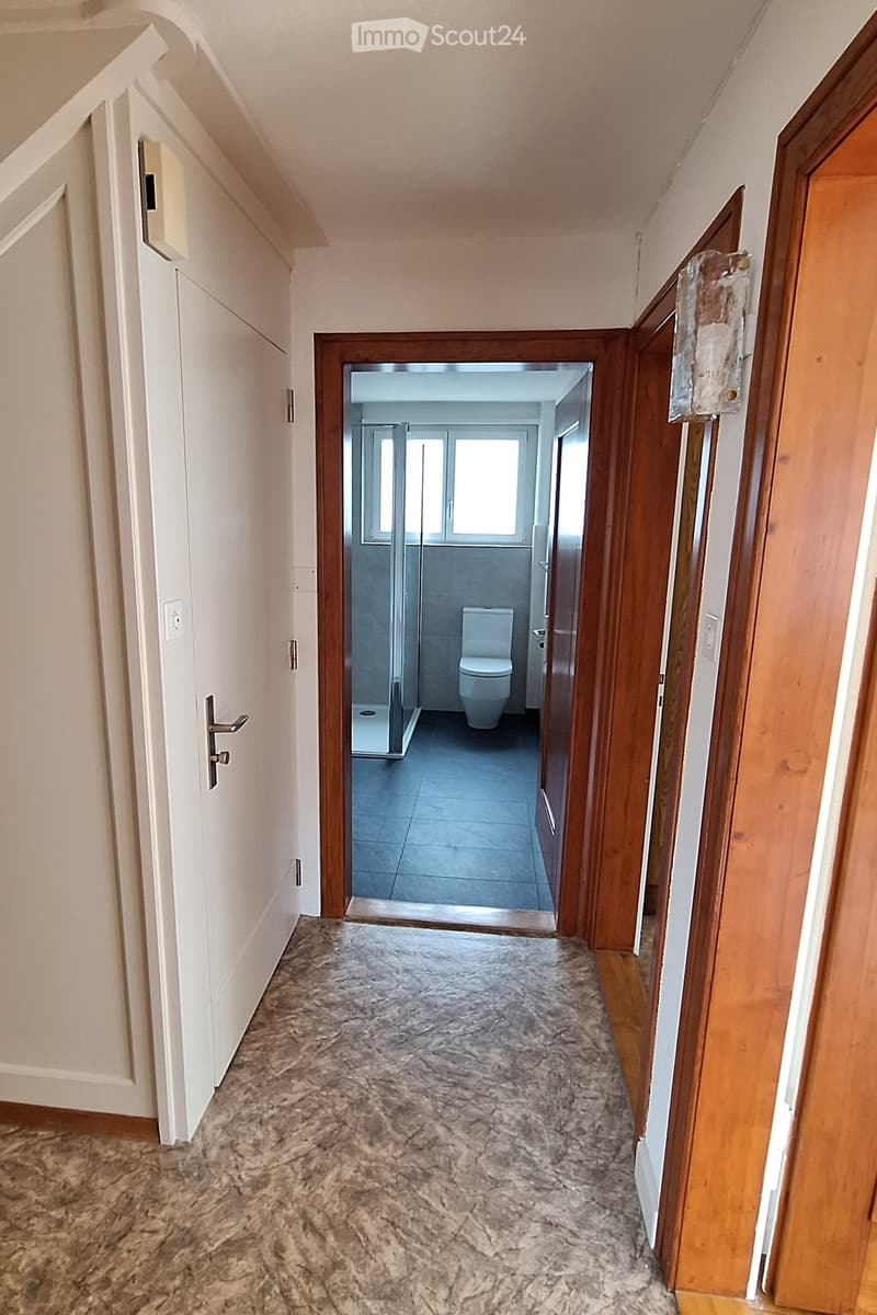 A narrow hallway with marble flooring, white walls, and wooden doors leading to a modern bathroom with a toilet and glass shower enclosure.