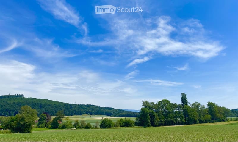 A peaceful countryside landscape with green fields, scattered trees, and a clear blue sky with scattered clouds. Distant hills and a small structure are visible on the horizon.