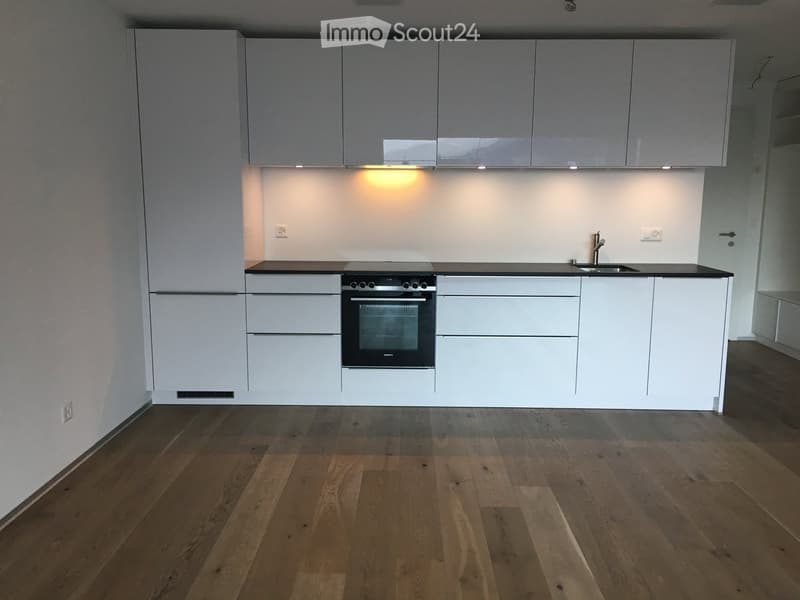 Modern kitchen with white cabinets, black countertop, integrated oven, and sink. Wooden flooring and built-in lighting.