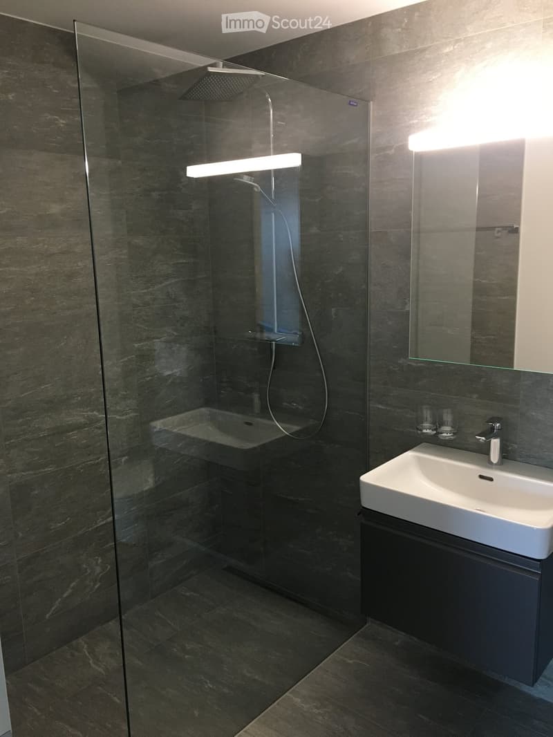 Modern bathroom with dark marble tiles, a glass-enclosed shower, a white sink with a modern faucet, and a large mirror above the sink.