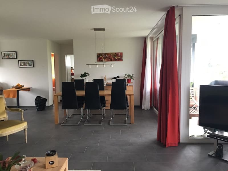 Dining table, chairs, wooden floor, two picture frames, plants, hanging lamp, TV, curtain