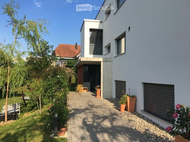 Modern white house, driveway, greenery, 2 doors, plants, shadow on ground