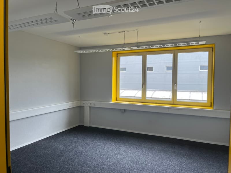 Empty room with grey carpet, white walls, and a large window with yellow frames. The room has a white baseboard and ceiling lights.