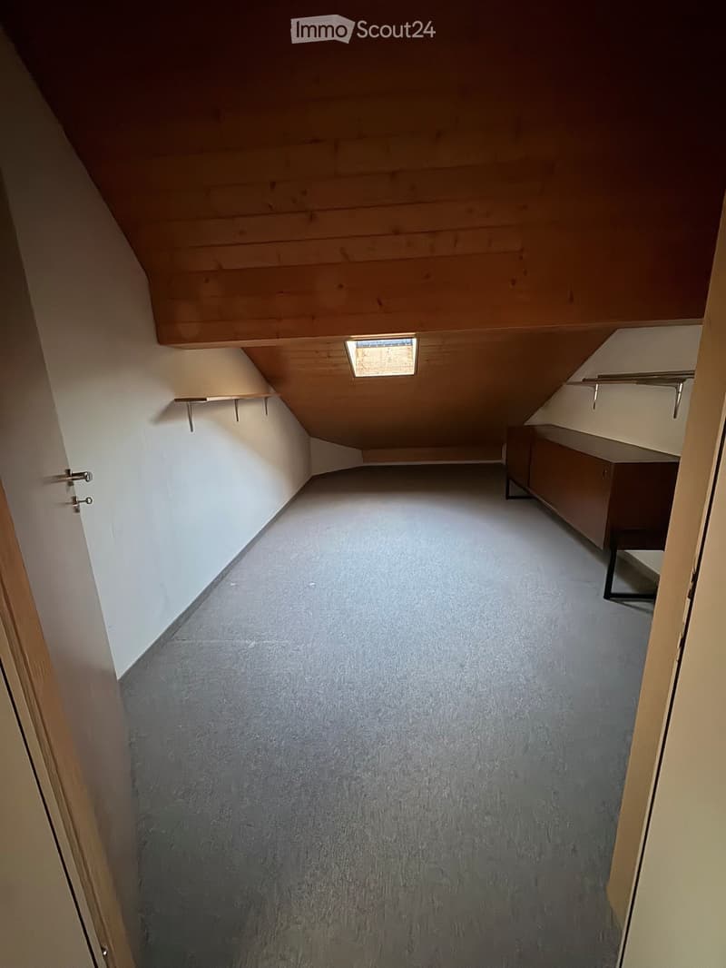 Narrow hallway with sloped wooden ceiling, carpeted floor, built-in shelving on one side, and a small skylight window at the far end.