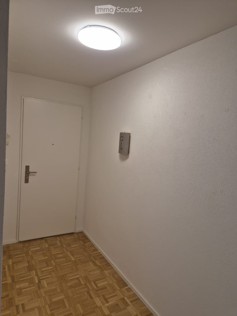 Empty hallway with wooden flooring, white walls, a closed door, and a ceiling light fixture.