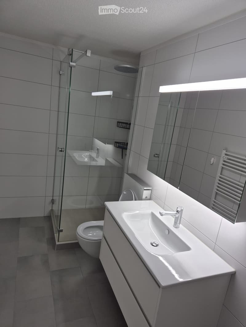 Modern bathroom with white tiles, a large sink with a modern faucet, a toilet, a glass-enclosed shower, and a built-in mirror with a light fixture above it.