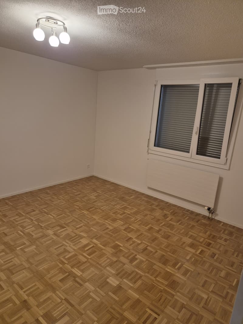 Empty room with wooden herringbone flooring, white walls, and a window with blinds. Features a radiator below the window and a ceiling light fixture.