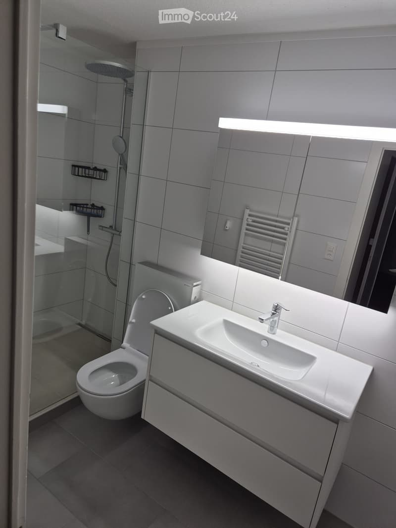 Modern bathroom with a white sink, chrome faucet, toilet, large mirror, radiator, and a glass-enclosed shower area with a handheld showerhead.