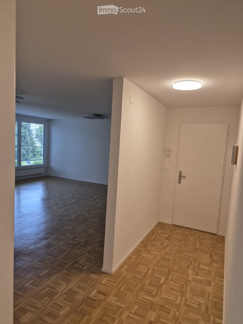 Empty hallway with wooden flooring, white walls, and a closed door leading to another room. A large window on the left side allows natural light to enter.