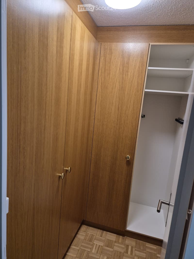 A narrow hallway with wooden paneled walls, a built-in closet with wooden doors, and a small open shelving unit. The floor is made of herringbone-patterned wood.