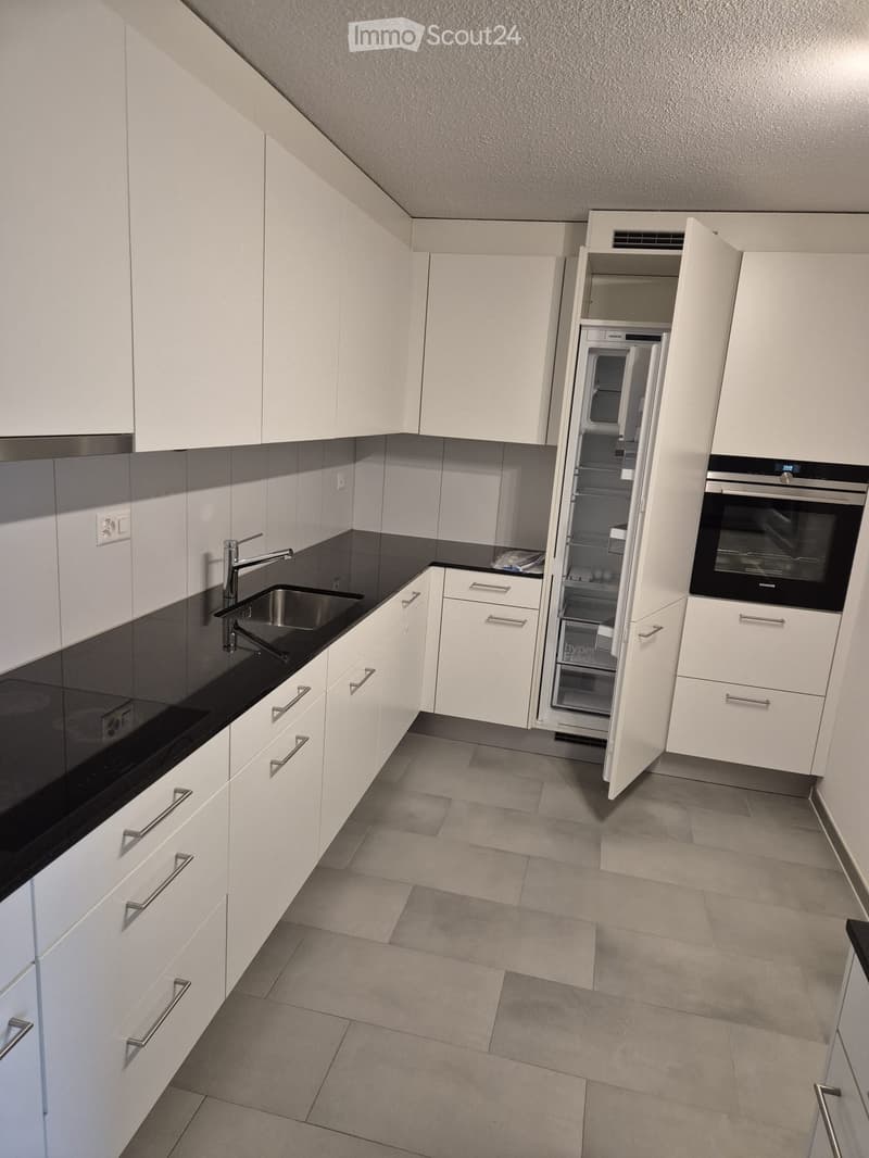 Modern kitchen with white cabinets, black countertops, stainless steel sink, and integrated appliances including a refrigerator and oven.