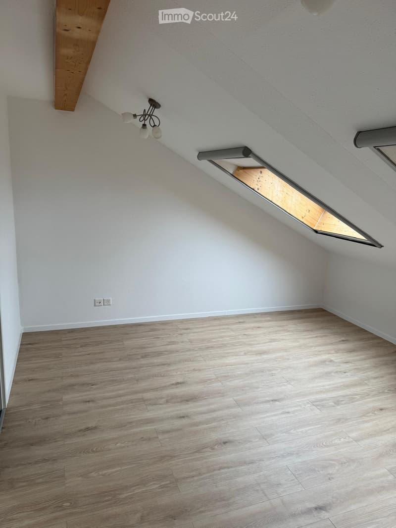Empty attic space with wooden flooring, white walls, and a skylight window. Features a modern light fixture and electrical outlets on the wall.