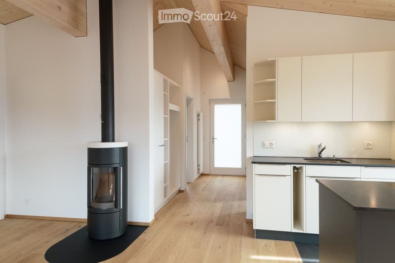 Modern, open-plan space with a sleek black fireplace, light wooden flooring, white kitchen cabinets, and a stainless steel sink.