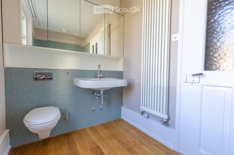 Modern bathroom with a white toilet, sink, large mirror, and radiator. Blue tiled walls and wooden flooring.