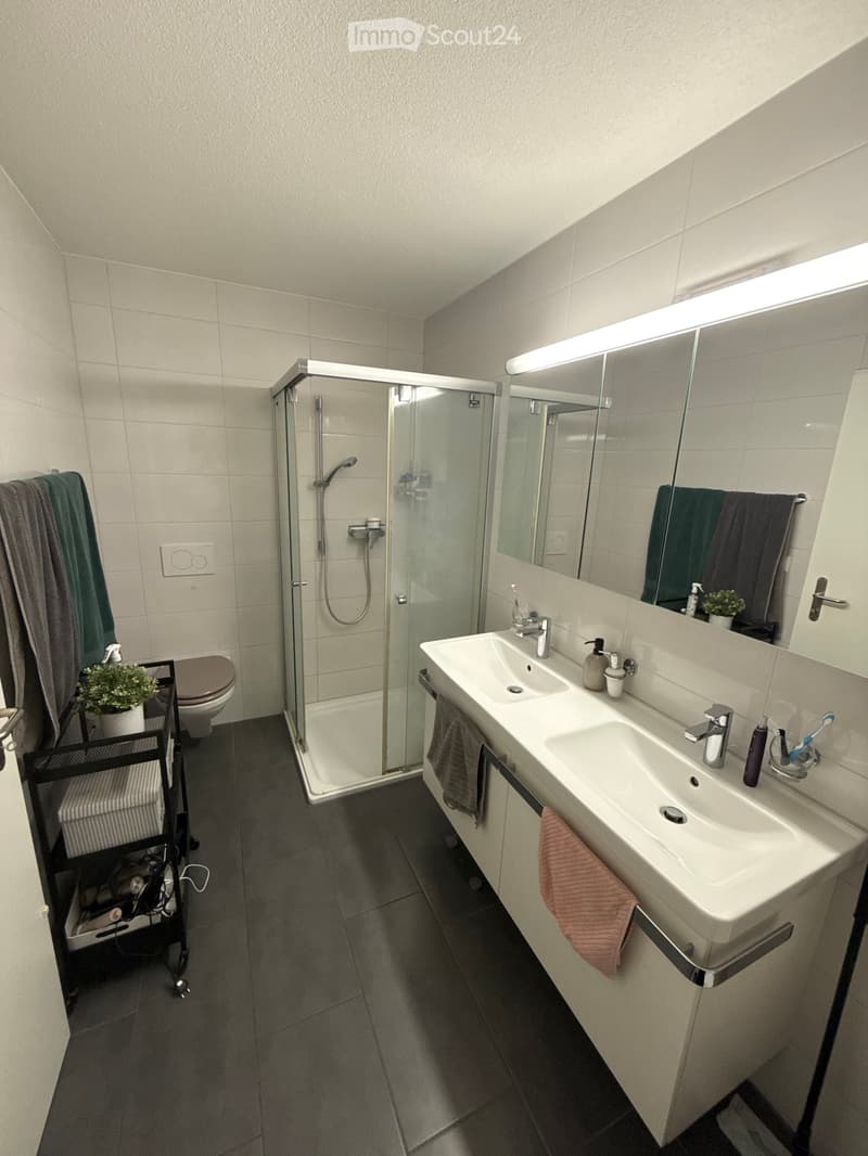 Modern bathroom with a double sink, large mirror, glass-enclosed shower, toilet, and various toiletries. Features include tiled walls, a storage basket, and a small plant on the floor.