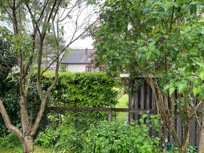 A lush garden with various trees, shrubs, and a wooden fence, with a house partially visible in the background.
