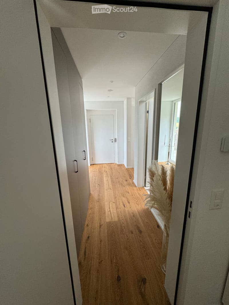 Long hallway, wooden floor, white walls, door on the left, two large mirrors, a plant on the right