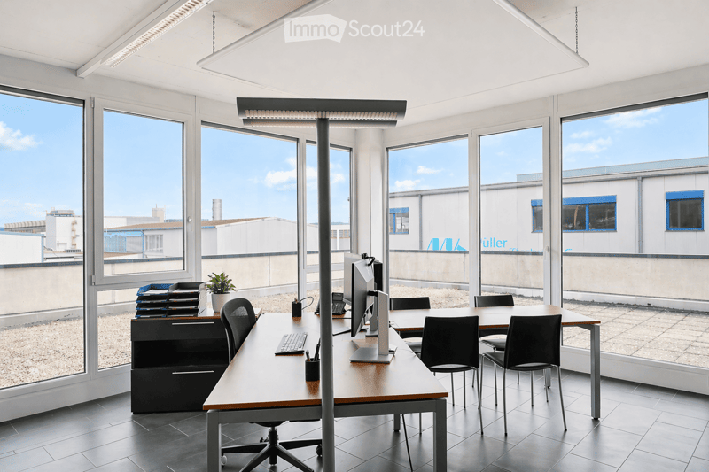 Modern office space with large windows, desks, chairs, computers, and a potted plant.