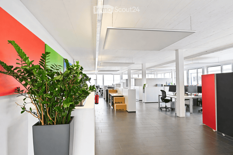 Modern office space with desks, chairs, computer screens, and a large potted plant in the foreground.