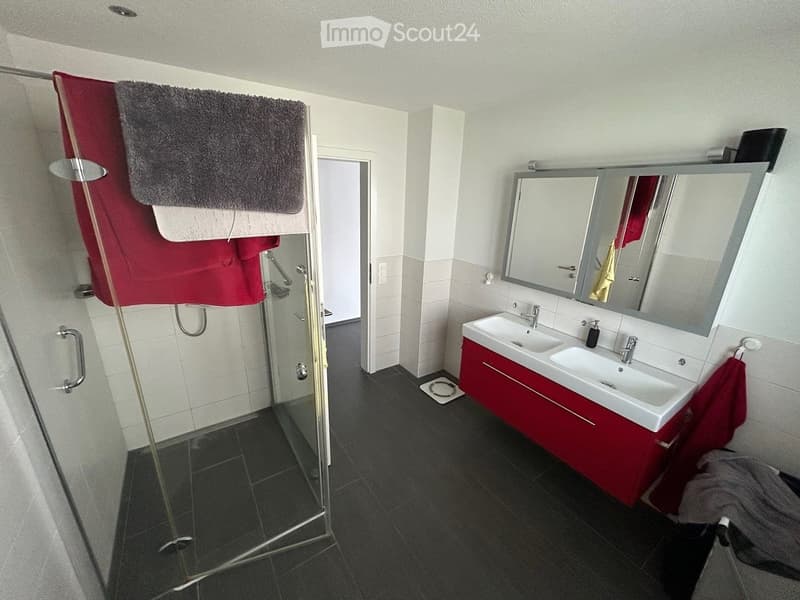 Modern bathroom with a double sink, large mirror, red cabinet, glass shower enclosure, and towels on a rack.