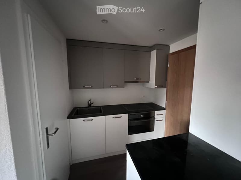 kitchen cabinets, black countertop, integrated oven, dishwasher, sink, faucet