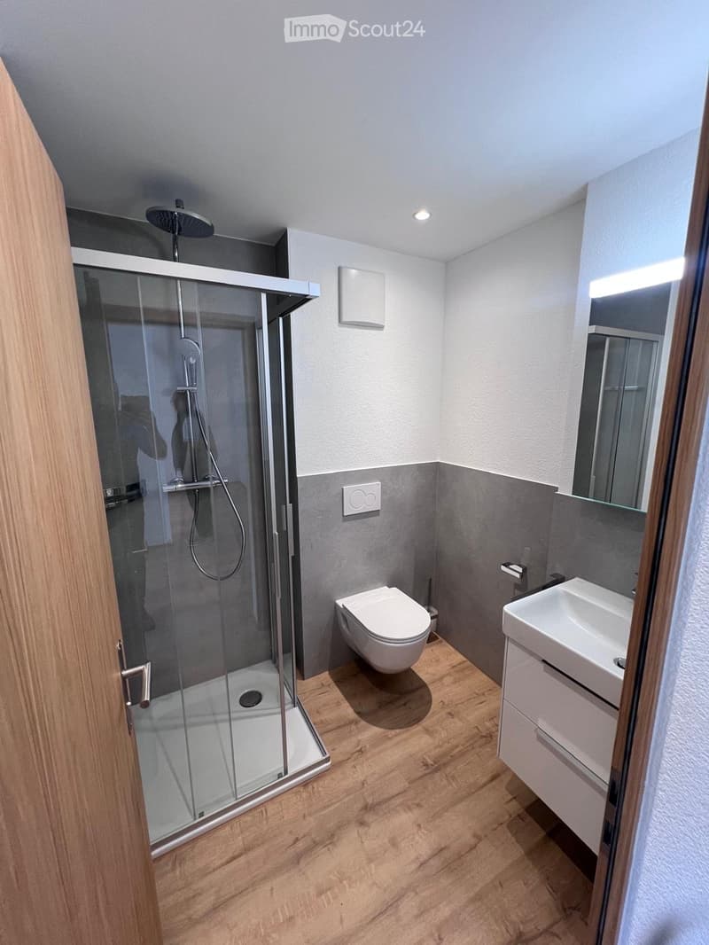 modern bathroom with glass shower, toilet, sink, wooden floor, mirror, toilet roll holder