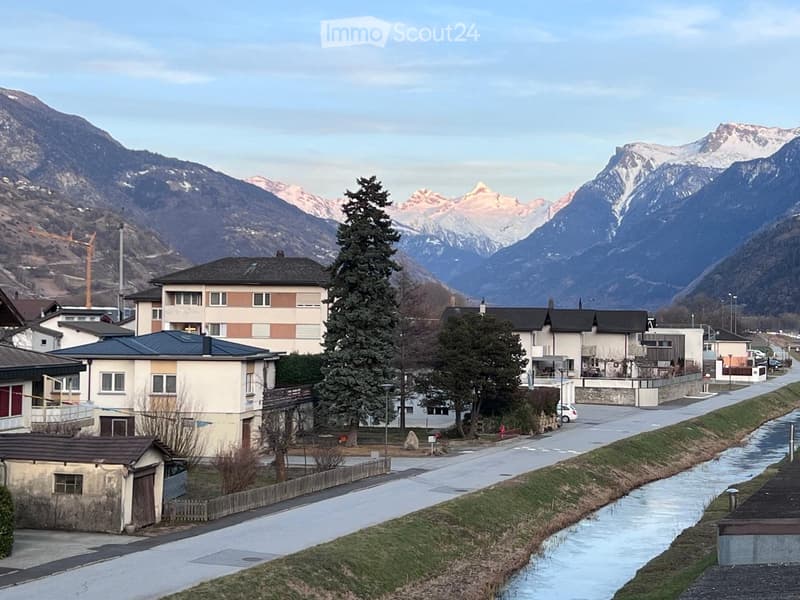 Snow-capped mountains, houses, street with cars, river, crane, trees