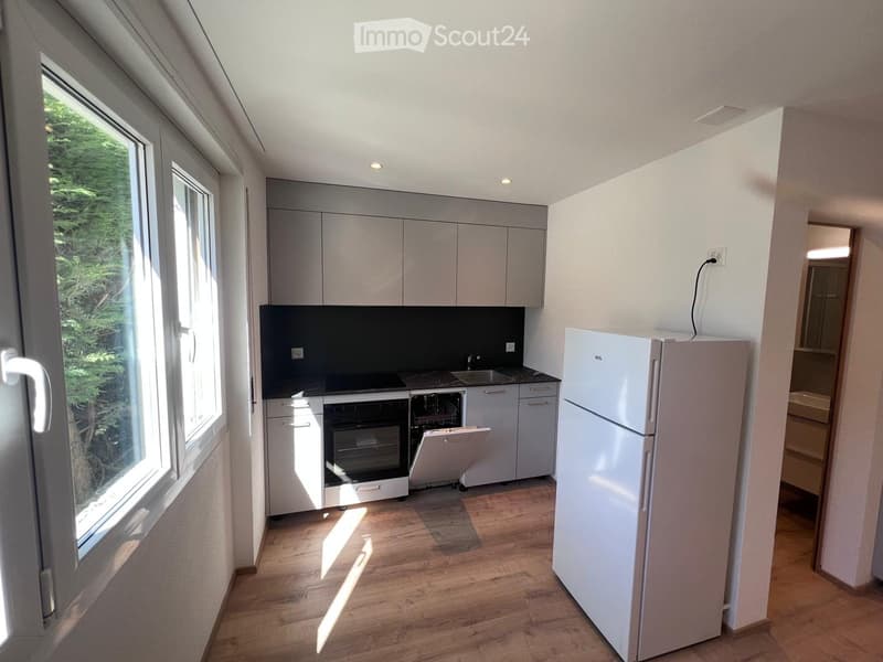 modern kitchen with white cabinets, black countertops, integrated dishwasher, stainless steel appliances, and hardwood flooring