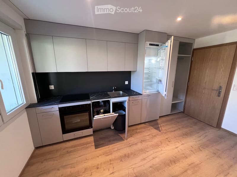 Modern kitchen with marble countertop, stainless steel sink, dishwasher, built-in oven, refrigerator, and wooden flooring