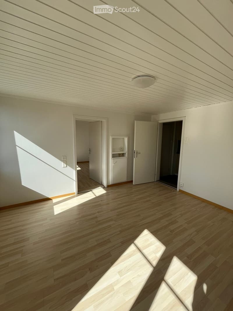 Empty room with wooden flooring, white walls, and a slanted ceiling. Two doors lead to adjacent spaces, and a small built-in cabinet is visible.