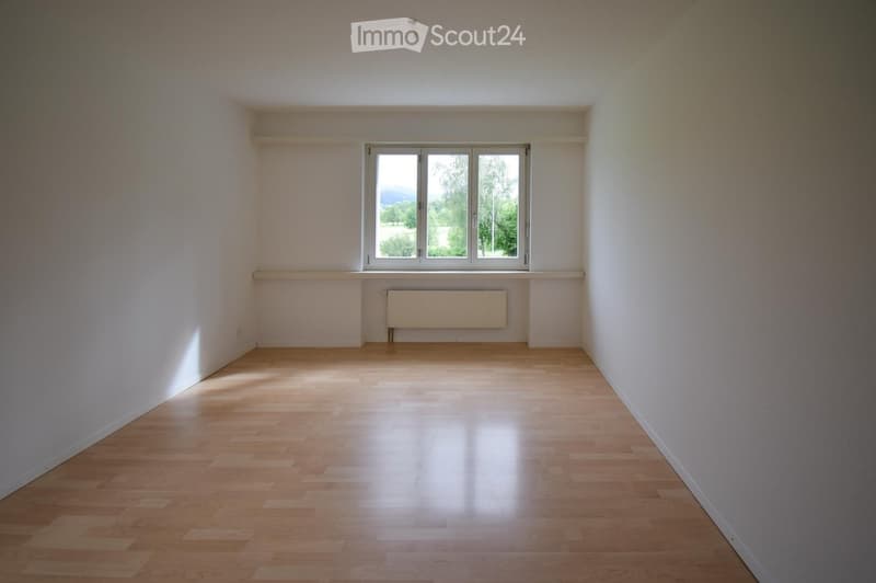 Empty room with light wooden flooring, white walls, and a large window with a view of greenery outside. A radiator is mounted on the wall below the window.