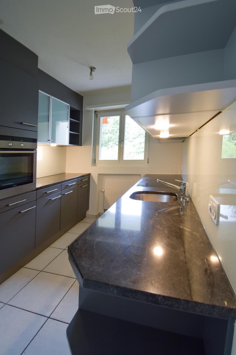 Modern kitchen with dark grey cabinets, granite countertop, stainless steel sink and faucet, and built-in oven.
