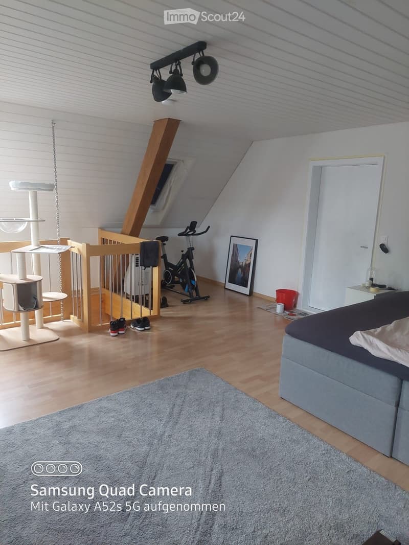 Furnished Room. A well-lit attic bedroom with wooden floors, a grey sofa, a cat tree, an exercise bike, and a picture frame on the wall.