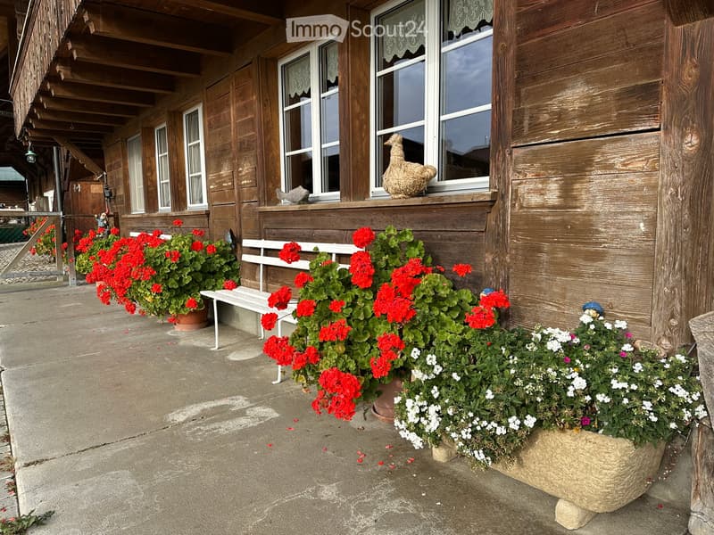 wooden building with wooden veranda, multiple large windows with white frames, white wooden bench on the veranda, hanging plants with red and white flowers, potted plant with red flowers, statue