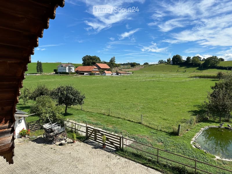 View of a large green field, a house with a barn, trees, a pond with ducks, a fence, a brick patio, plants in pots
