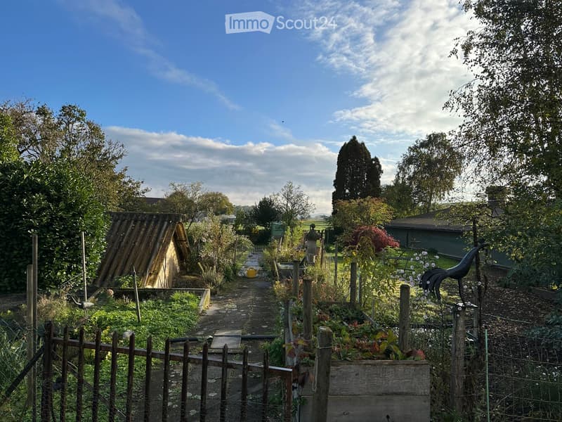 Garden with small shed, raised flower beds, paths and greenery.