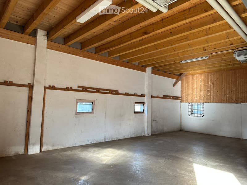 Large room with wooden ceiling, windows, and an empty floor