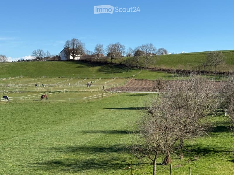 Green field with horses, white fences, house in the background, trees, mountains
