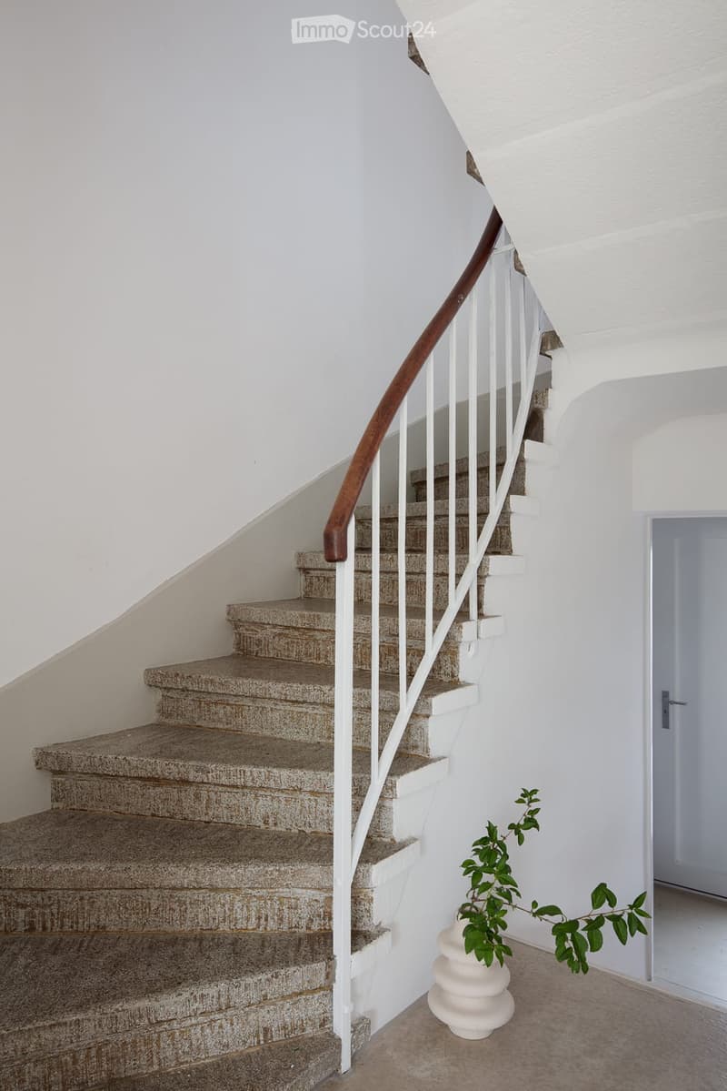 A modern staircase with white walls, a wooden handrail, and a small potted plant on the landing.