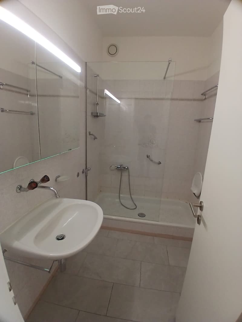 Modern bathroom with a white sink, mirror, glass-enclosed shower, and toilet. Features tiled walls and floor, and modern fixtures.