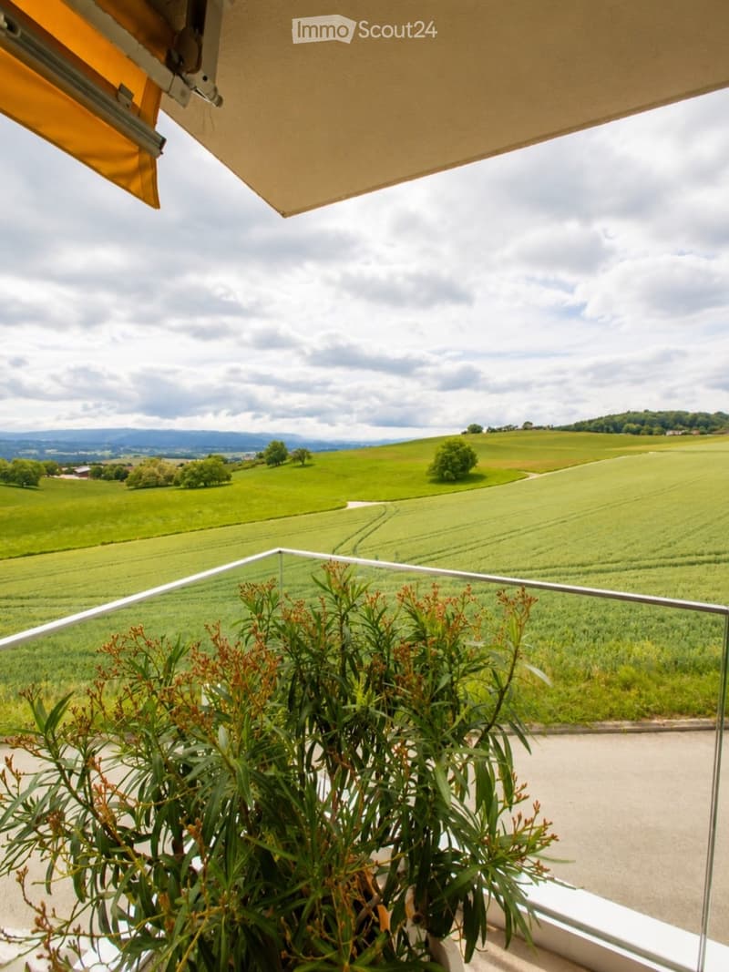 Balcony with a modern glass railing, featuring a small potted plant and a large yellow sunshade, overlooking a scenic countryside with green fields and distant hills.