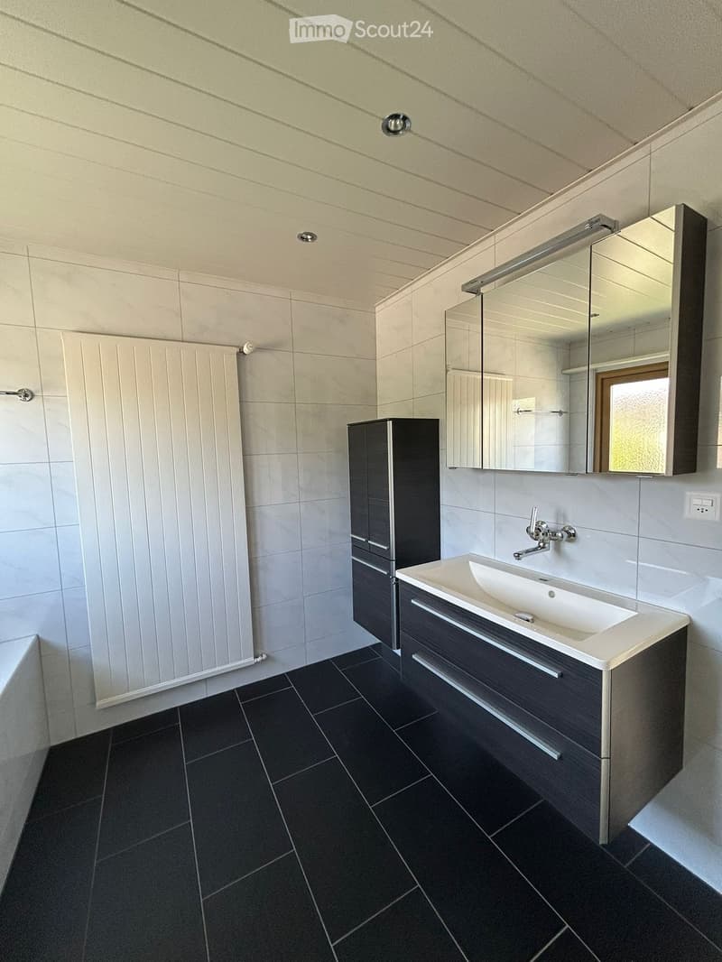 Modern bathroom with dark tiled floor, white sink, mirrored cabinet, and black cabinet.