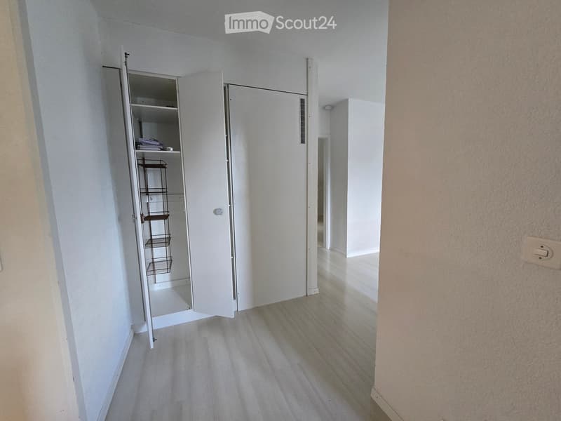 Empty hallway with light-colored walls and wooden flooring, featuring an open closet with wire shelves and a small storage area.