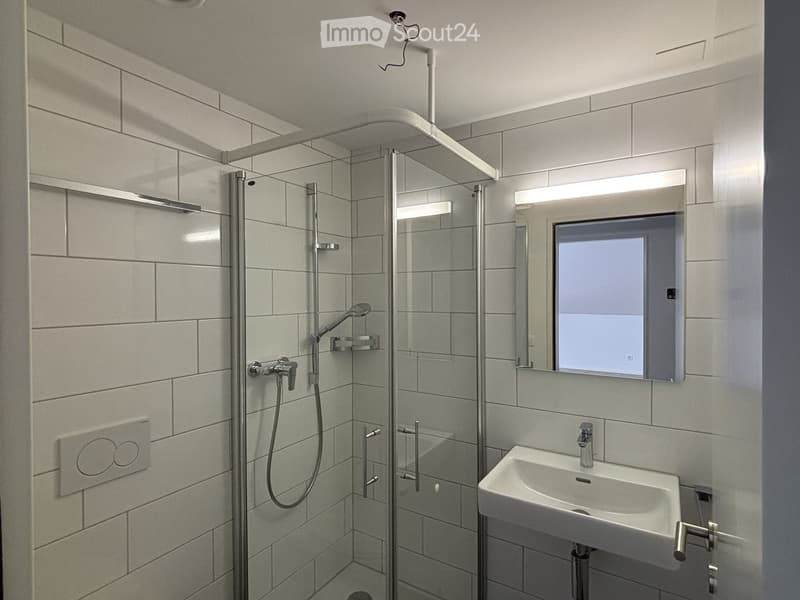 Modern bathroom with a glass-enclosed shower, a white sink, and a large mirror with built-in lighting.