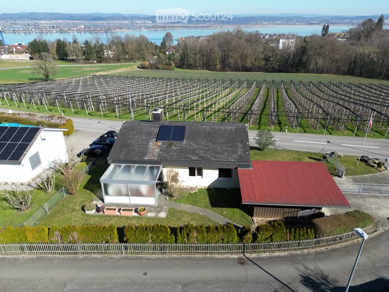 Aerial view of a modern house with solar panels on the roof, surrounded by a well-maintained garden, a greenhouse, and a parking area with several cars. The house is situated near a body of water with vineyards and a scenic landscape in the background.