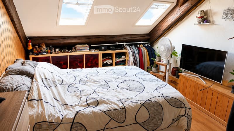 Cozy attic bedroom with wooden beams, skylights, a large bed with a patterned bedspread, a shelf with books and toys, a fan, a television, and small potted plants.