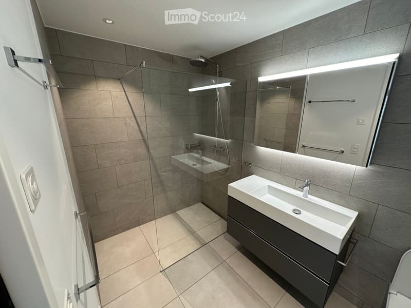 Modern bathroom with a large mirror, illuminated vanity, and a walk-in shower with a glass door.