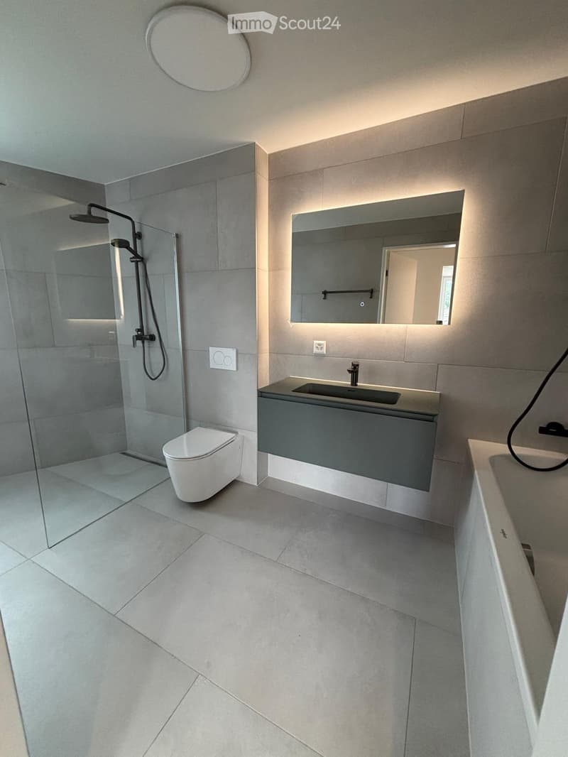 Modern bathroom with grey tiles, a large sink with a sleek faucet, a toilet, a shower area with a glass enclosure, and a bathtub.